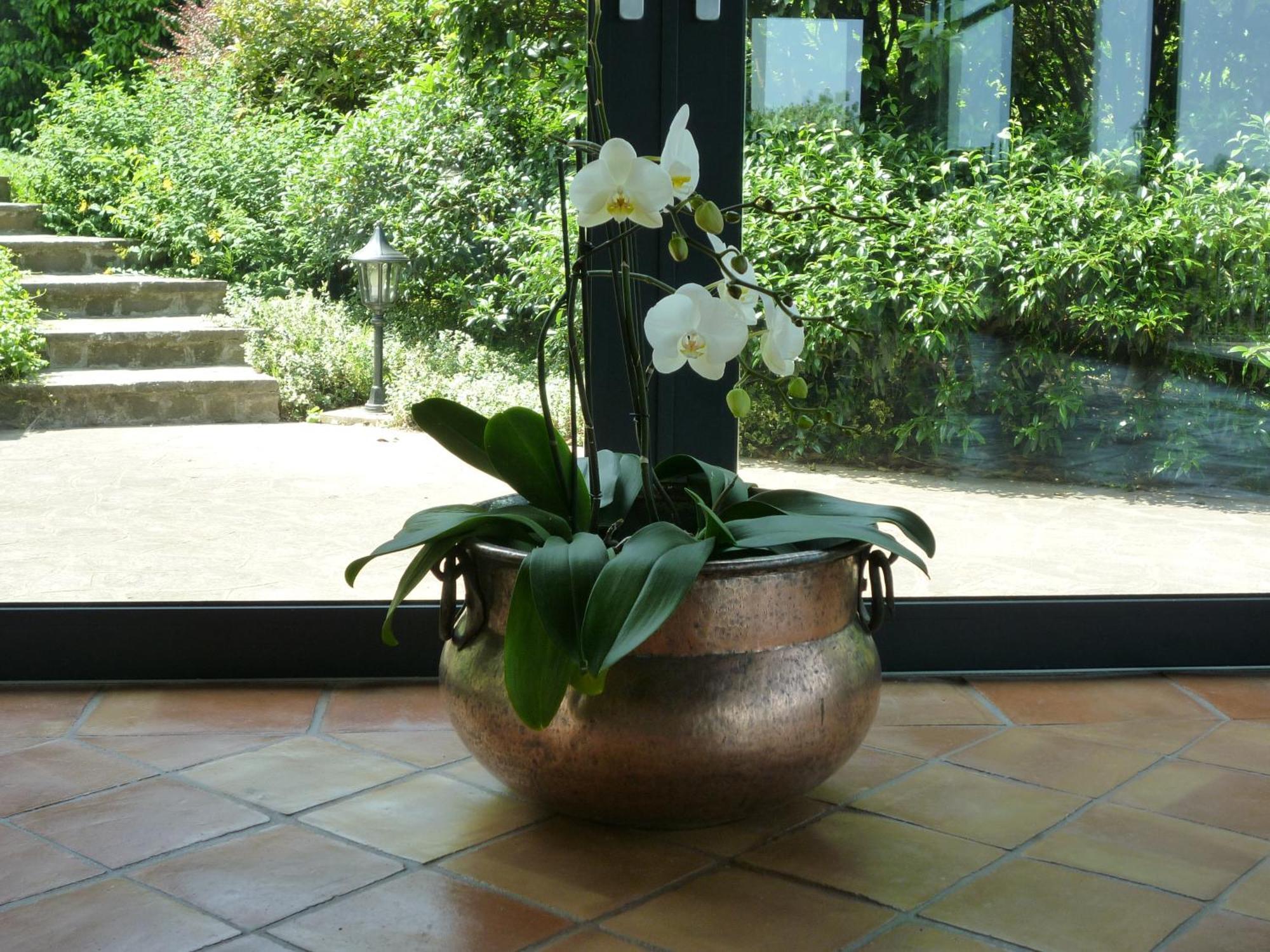 Country House Barone D'Asolo Eksteriør bilde